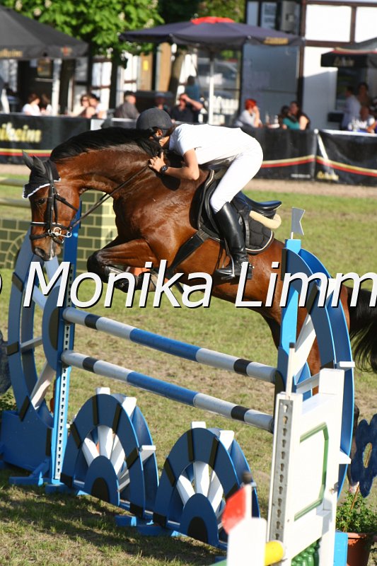 204M4674_Upper Calss_Spring_Mx.JPG